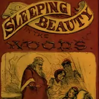 Sleeping Beauty in the Woods