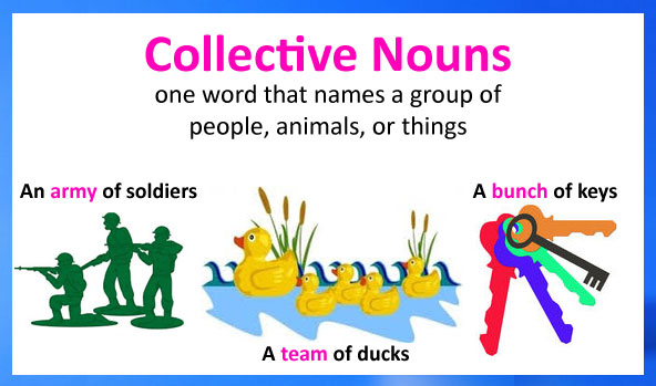 Free noun for Noun Worksheets