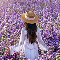 The Forest of Lilacs